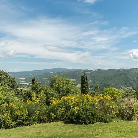 Poreale 6 Ficulle